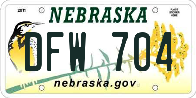 NE license plate DFW704