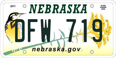 NE license plate DFW719