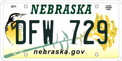 NE license plate DFW729