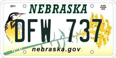 NE license plate DFW737