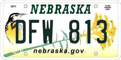 NE license plate DFW813