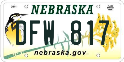NE license plate DFW817