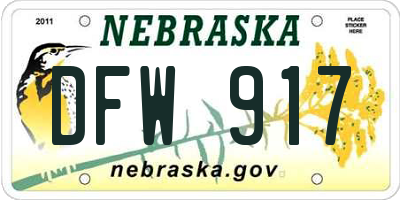 NE license plate DFW917