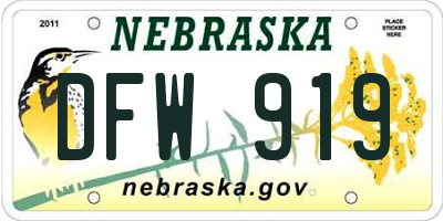 NE license plate DFW919