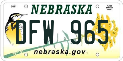 NE license plate DFW965