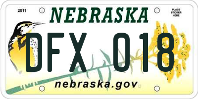 NE license plate DFX018