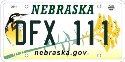 NE license plate DFX111