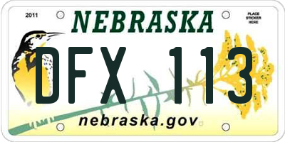 NE license plate DFX113