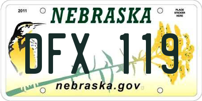 NE license plate DFX119