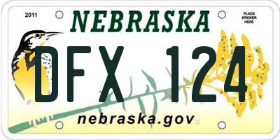 NE license plate DFX124