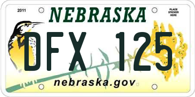NE license plate DFX125