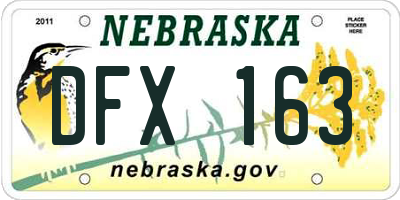 NE license plate DFX163
