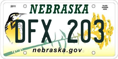 NE license plate DFX203