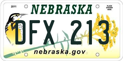 NE license plate DFX213