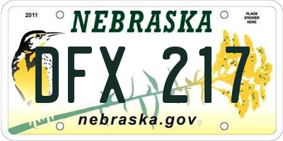 NE license plate DFX217