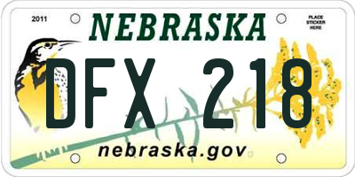 NE license plate DFX218