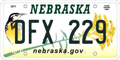 NE license plate DFX229