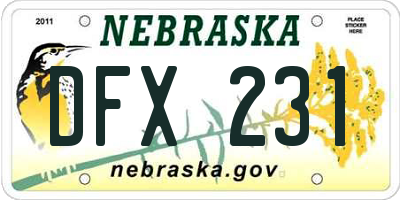 NE license plate DFX231