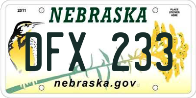 NE license plate DFX233