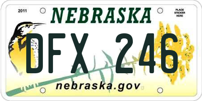 NE license plate DFX246