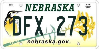 NE license plate DFX273