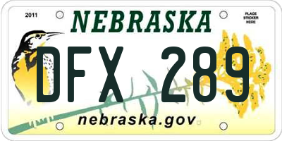 NE license plate DFX289