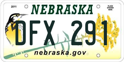 NE license plate DFX291