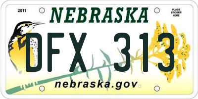 NE license plate DFX313