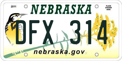 NE license plate DFX314