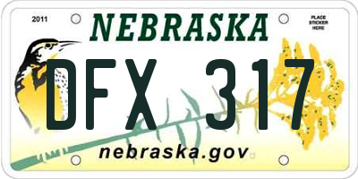 NE license plate DFX317