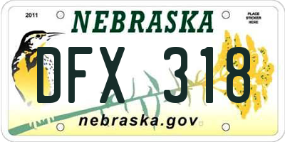 NE license plate DFX318