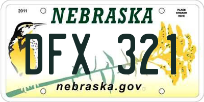 NE license plate DFX321