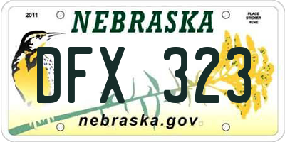 NE license plate DFX323