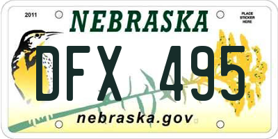 NE license plate DFX495