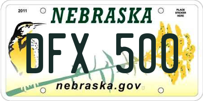 NE license plate DFX500