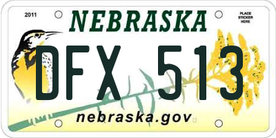 NE license plate DFX513