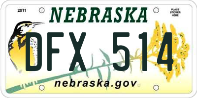NE license plate DFX514