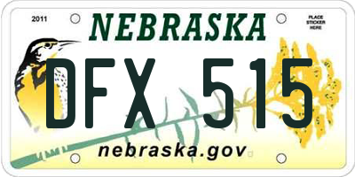 NE license plate DFX515