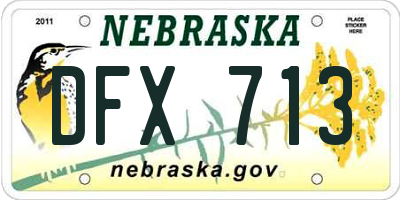 NE license plate DFX713