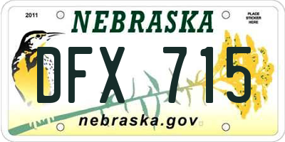 NE license plate DFX715