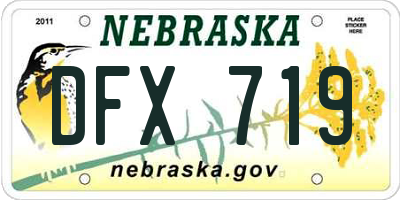 NE license plate DFX719