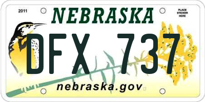 NE license plate DFX737