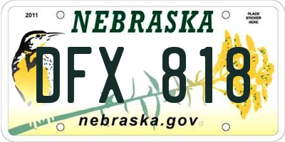 NE license plate DFX818