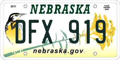 NE license plate DFX919