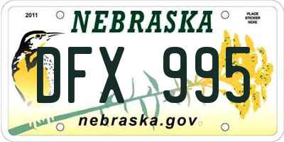 NE license plate DFX995