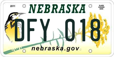 NE license plate DFY018