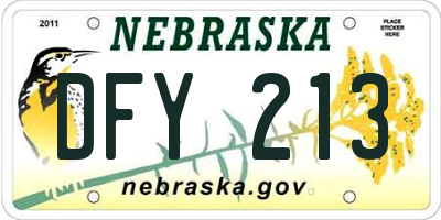 NE license plate DFY213