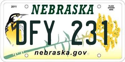 NE license plate DFY231