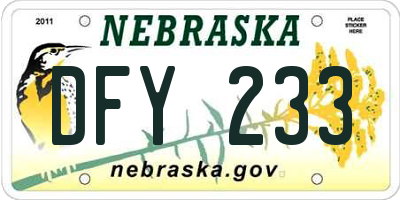 NE license plate DFY233