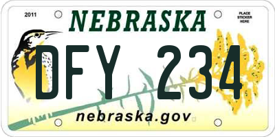 NE license plate DFY234